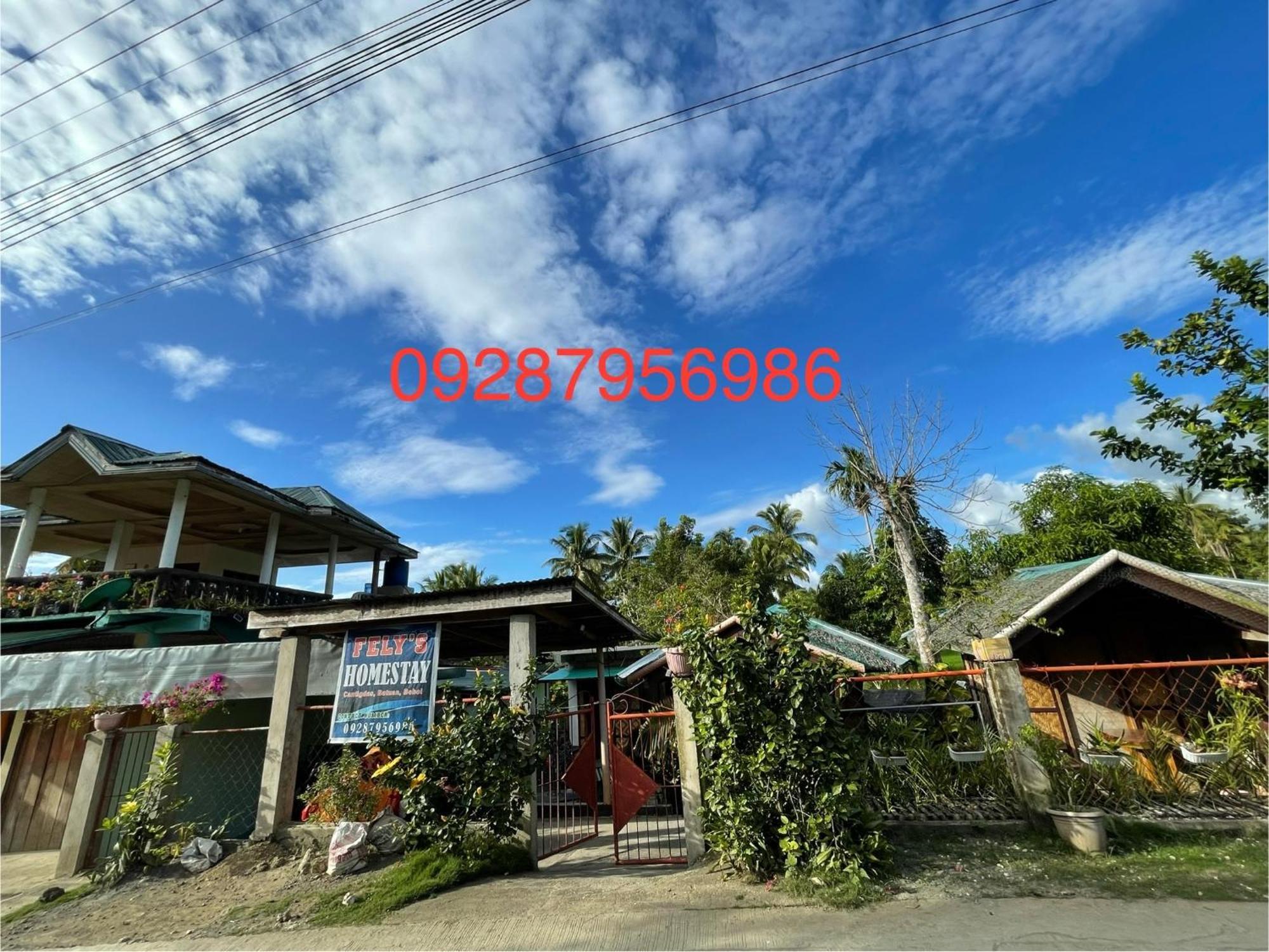 Fely'S Homestay Batuan Dış mekan fotoğraf